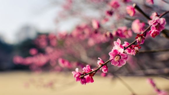 内存条怎么分辨新旧