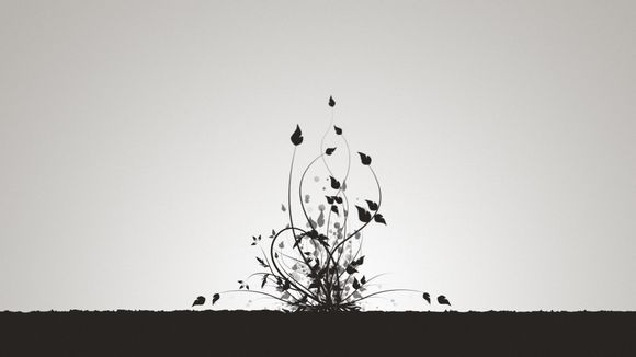 一加五t内存还剩多少