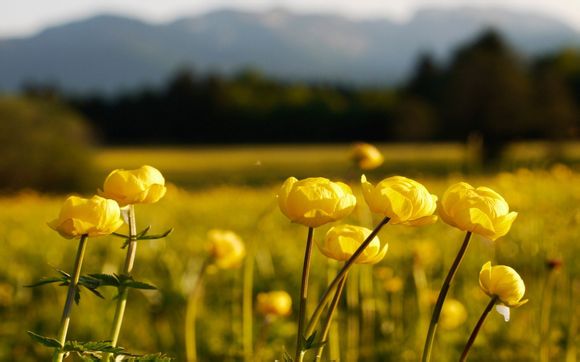 强盛与节俭