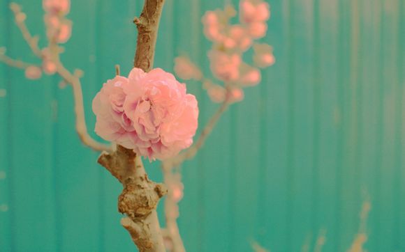 分区魔术师怎么合并分区