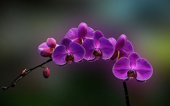 货币供应量