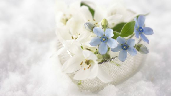 he是什么意思