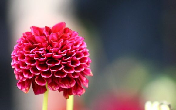 为我手机多少钱