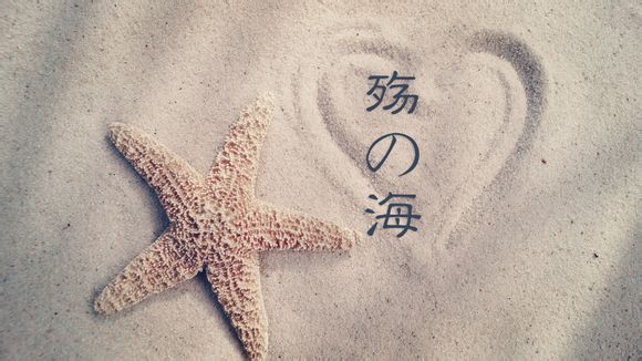 我的世界鹦鹉螺壳