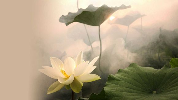 去哪里可以参加裸奔节