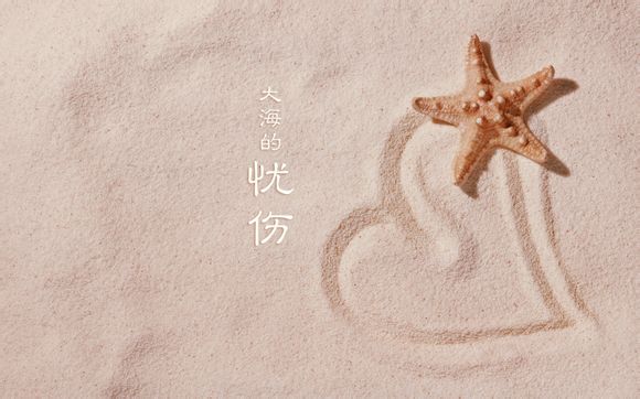 华为的备用电池哪个好